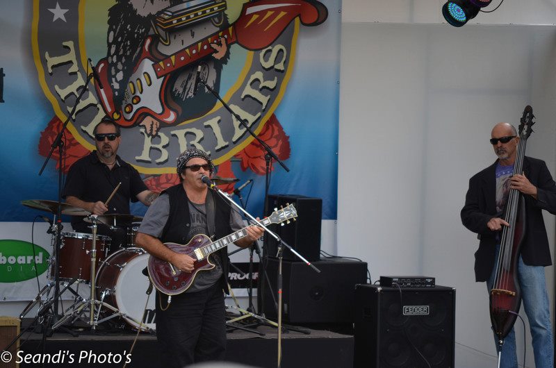 Brothers in Blues Live Album – Blues @ The Briars 2013